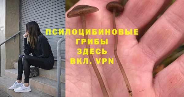 соль ск Алексин