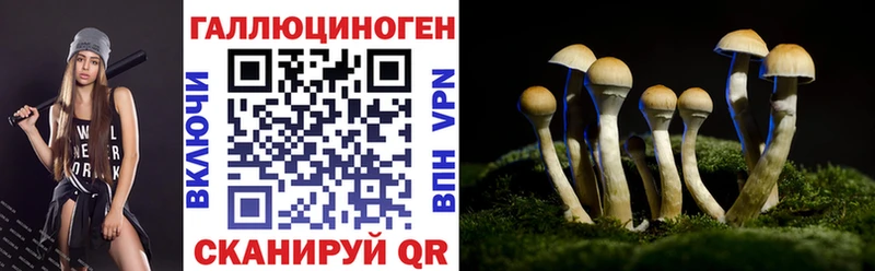 Галлюциногенные грибы Psilocybine cubensis  Ленинск 